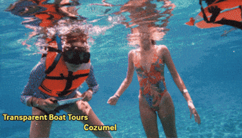 Transparent Boat Tours GIF