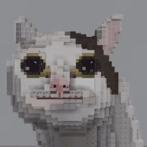 Cat GIF