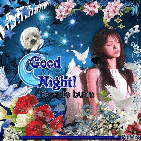 Good Night Noapte Buna GIF