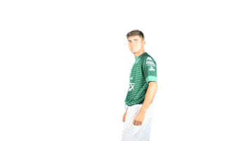 Sticker by C. F. Villanovense