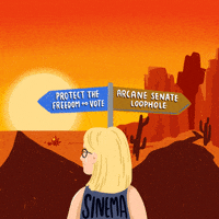 Voting Rights Congress GIF by Creative Courage