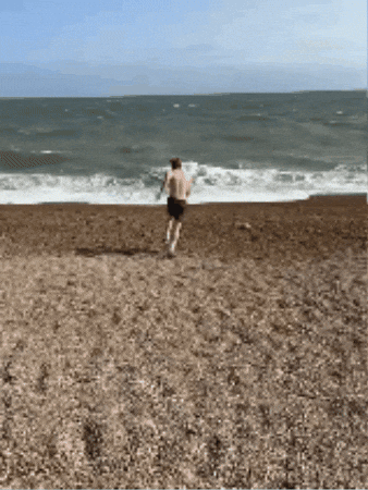 Flessenpost GIF by Omroep Zeeland