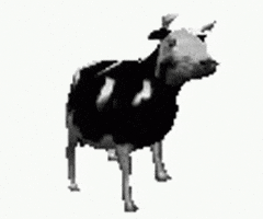Dance Cow GIF