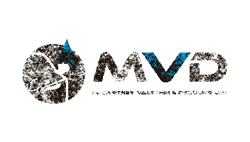 McCartney Valeting & Detailing Sticker