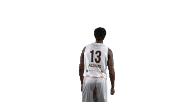 Basketball Basket Sticker by Lions de Genève