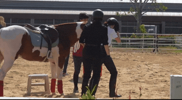 Faye GIF