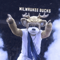 Greek Freak Nba GIF by Milwaukee Bucks