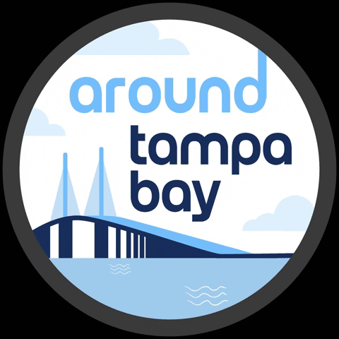 Tampa Bay Water GIF by Becoming A Local