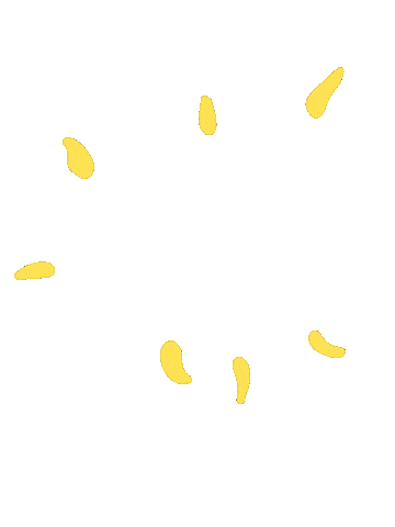 Happy Sticker