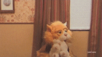200.gif?cid=fc005b0820c9537d872379638722c2163edbce3bd0f2a51e&rid=200.gif&ct=g