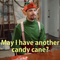 Candy Cane Christmas GIF by zoefannet