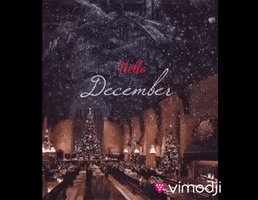 Snow December GIF by Vimodji