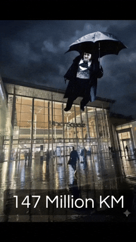 Penguin GIF