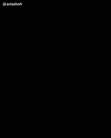 Iran Soldier GIF