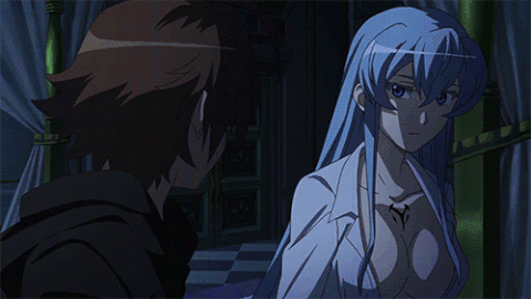 Featured image of post Akame Ga Kill Gift The best gifs are on giphy