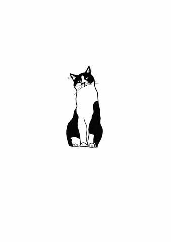 Cat GIF