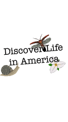 Discover Life in America Sticker