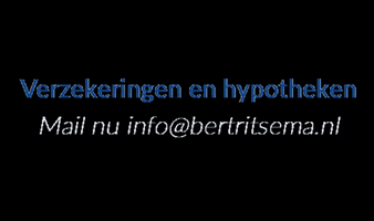 Bert Ritsema Verzekeringen & Hypotheken GIF