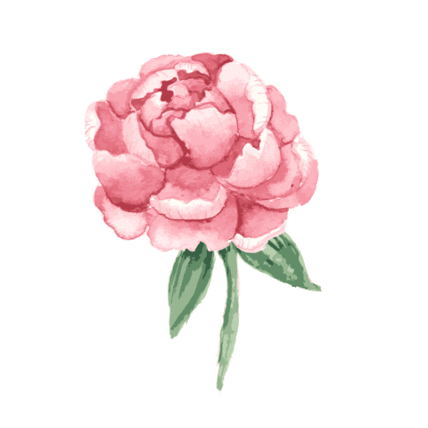 Pink Flower Myrpdress Sticker by Rachel Parcell