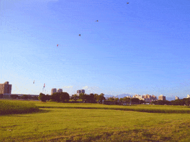 Fly Flying GIF by Jean Scuderi