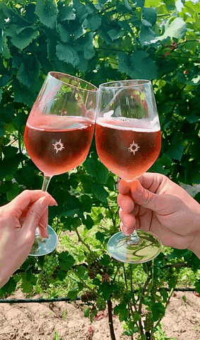 Black Star Farms GIF