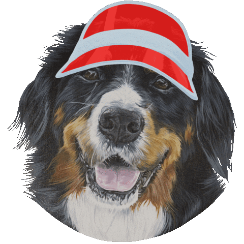 Dog Rainbow Sticker