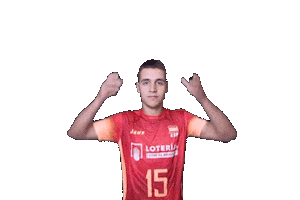 Volleyball Sticker by RedLynxes