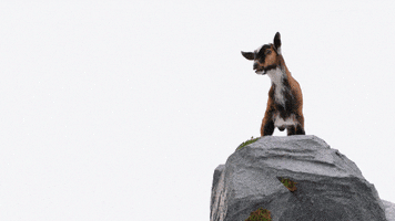Greatest Of All Time Goat GIF by TELUS