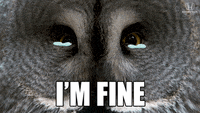 Im Here So I Dont Get Fined Gifs Get The Best Gif On Giphy