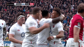 High Five Team GIF by Guinness Six Nations