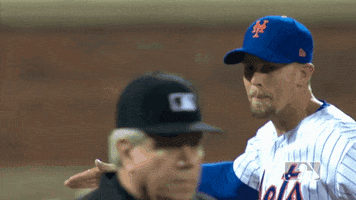 high five ny mets GIF by New York Mets