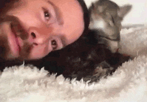 Partee GIF