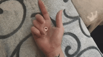 200.gif?cid=fc005b08eaed2af97151c8a09e5cb70af2efdfb88967dc76&rid=200.gif&ct=g