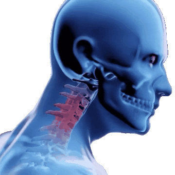 EUROSPINE Sticker