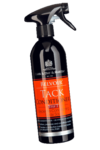 Horse Pony Sticker by carrdaymartin