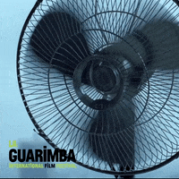 Blazing Global Warming GIF by La Guarimba Film Festival