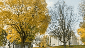 New England College Campus GIF by Middlebury