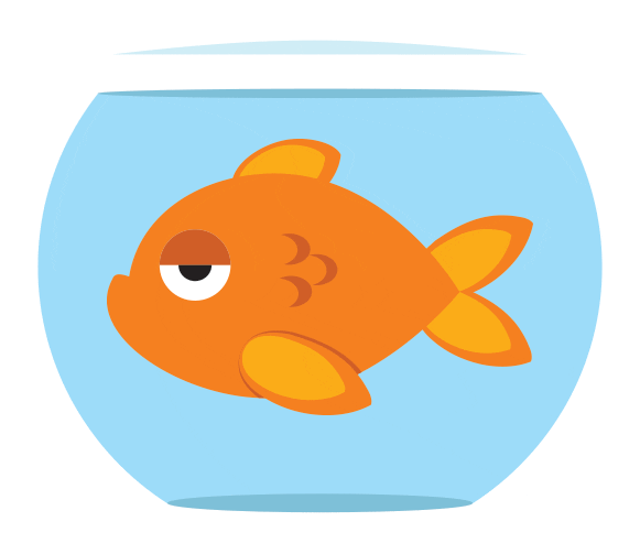 Transparent Fish Gif