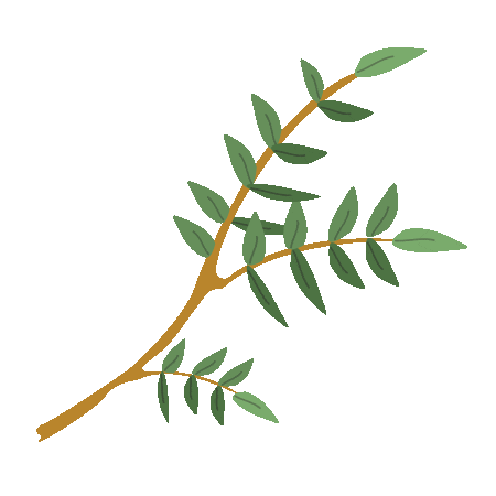 Spring Hojas Sticker