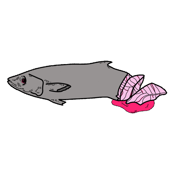 Pink Sticker