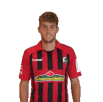 Swipe Up Sc Freiburg Sticker by SCF