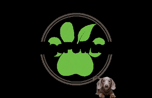 VigoPawtner GIF