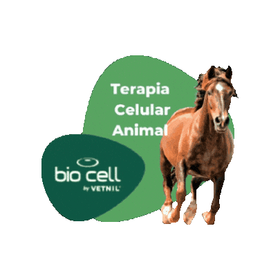 Terapia Celular Sticker by BIO CELL by Vetnil