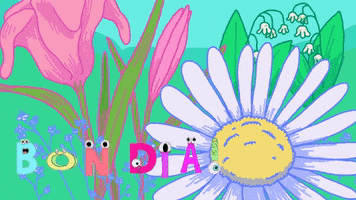 Bon Dia GIF