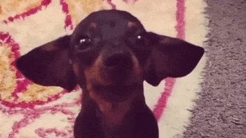 200.gif