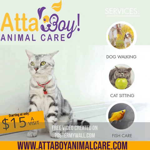 Atta Boy! Animal Care GIF