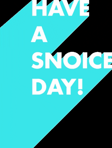Snoice GIF