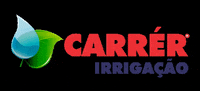 carrr-irrigao-QAy6tS80AE3hrqtJQm
