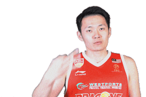 Kldragons Kld Sticker by kualalumpurdragons