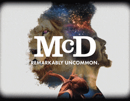 GIF by McDaniels Marketing